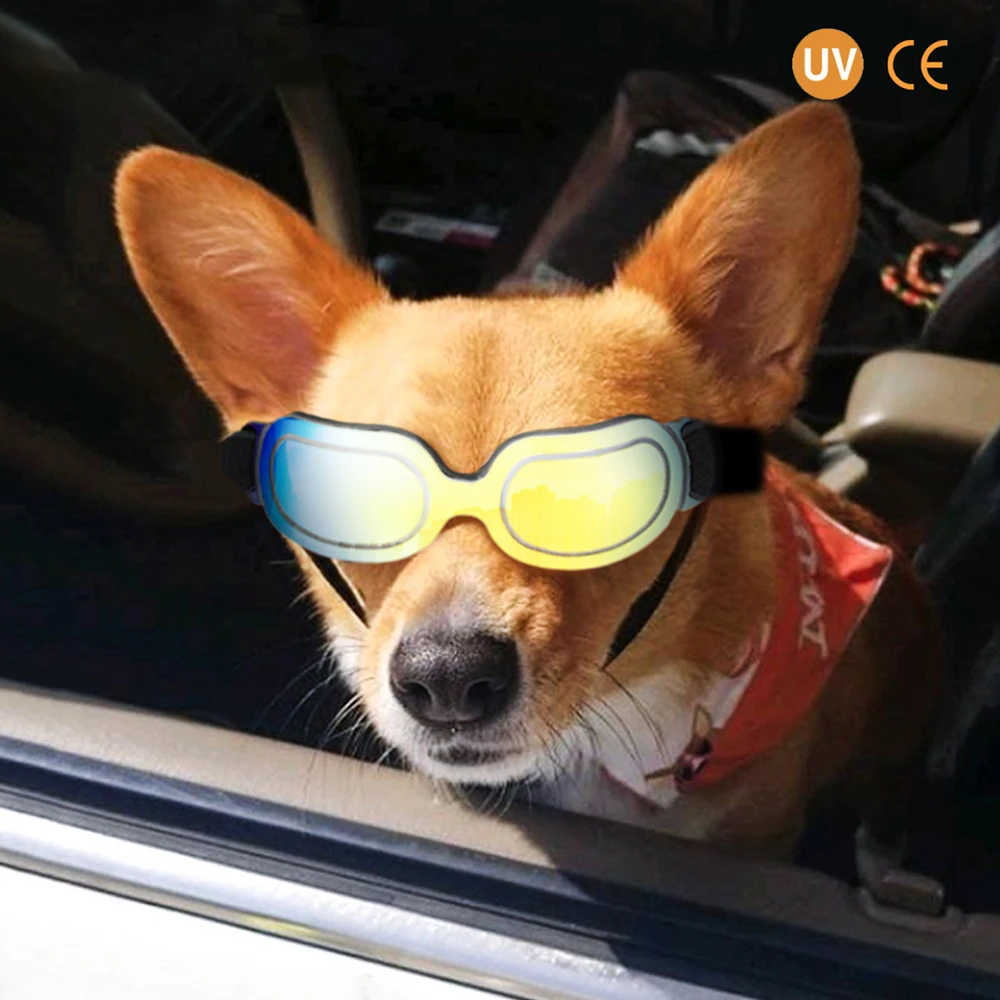 Colorful Dog Glasses Sunglasses Adjustable Windproof Cool Design Fashion Pet Cat Dog Sunglasses Big Pet Wearing
Colorful Dog Glasses Sunglasses Adjustable Windproof Cool Design Fashion Pet Cat Dog Sunglasses Big Pet Wearing