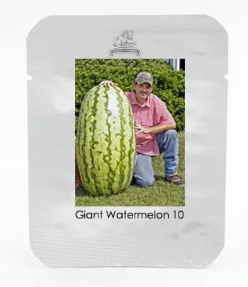 US$ 0.73 - Giant Watermelon 'Iwanaga Giant' F1 Seeds, Professional