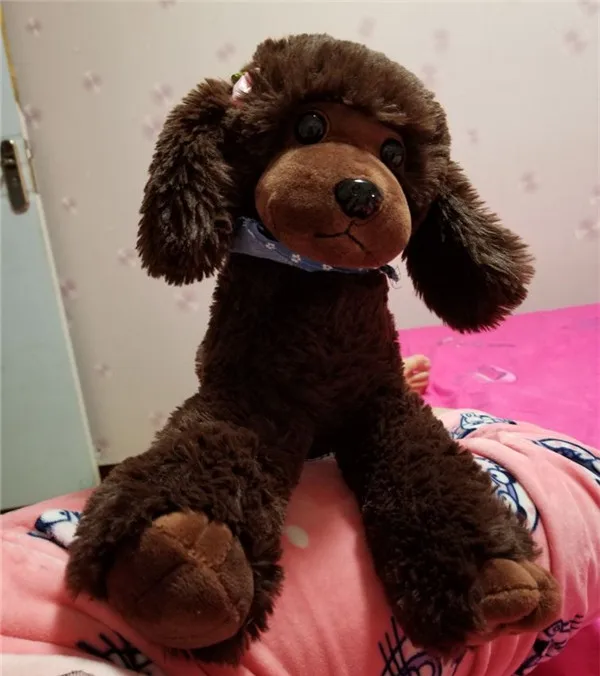 Cute Dog plush toys Poodle Bichon Frise puppy stuffed warm animal toys - Buyer\`s Show 14