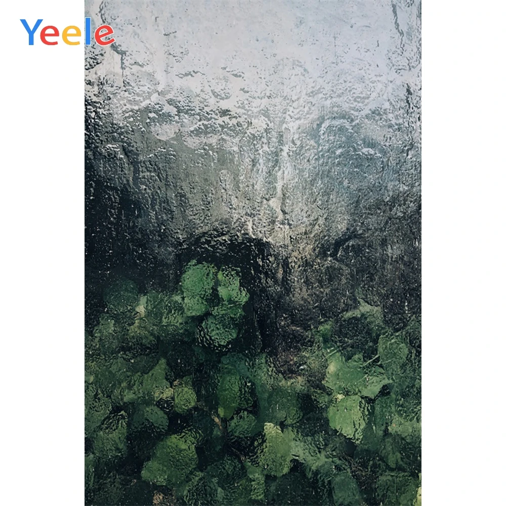 Yeele Tropical Leaves Bokeh Rainy Landscape Summer Photography Backgrounds Customized Photographic Backdrops for Photo Studio
Yeele Tropical Leaves Bokeh Rainy Landscape Summer Photography Backgrounds Customized Photographic Backdrops for Photo Studio