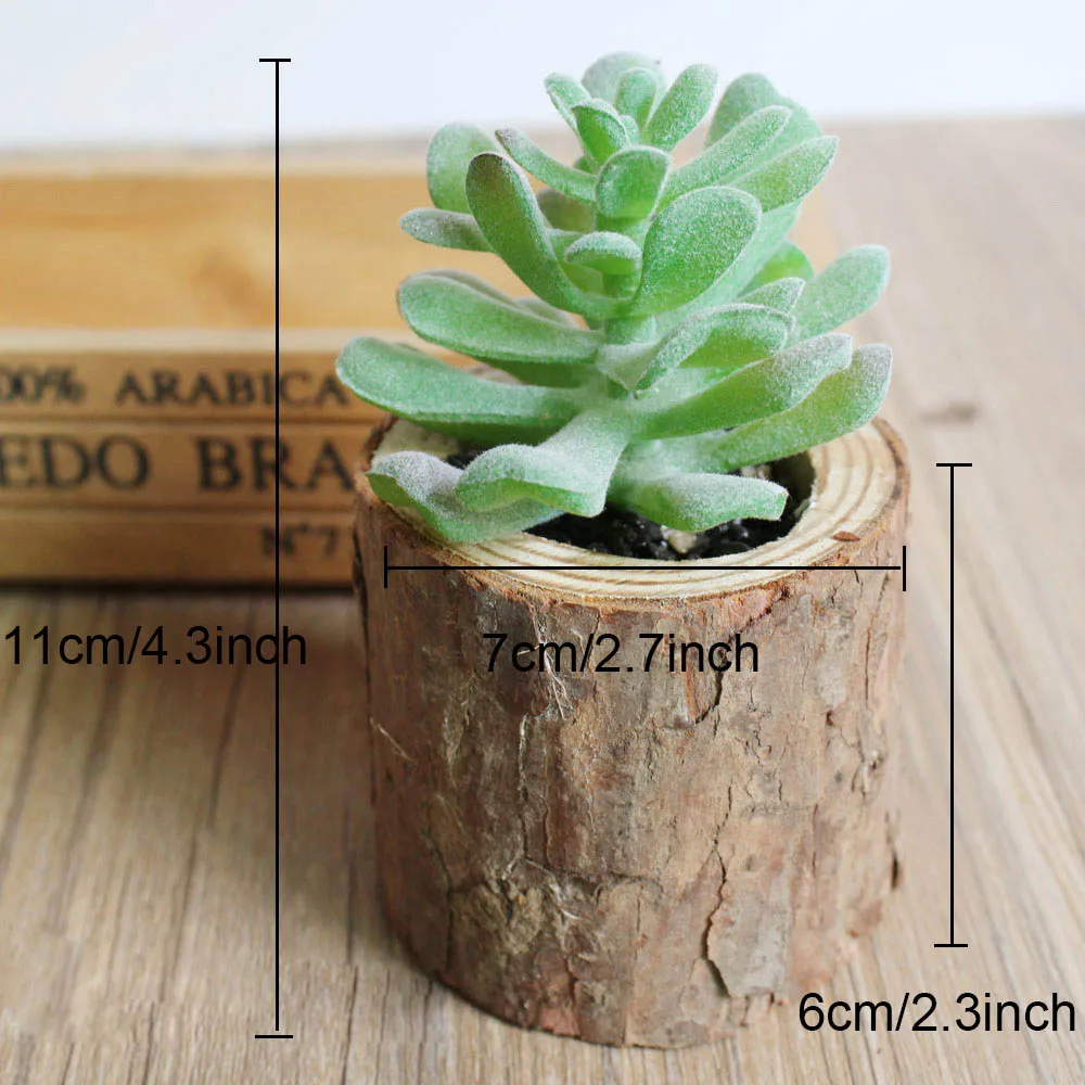 Artificial Succulents Plants Woody Potted Plant Home Desk Table