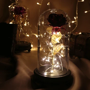 LED Gold Rose in Glass Dome Beauty and the Beast Red Rose Decorative Flowers Wreaths for Valentine Gift Mother Day Gifts
LED Gold Rose in Glass Dome Beauty and the Beast Red Rose Decorative Flowers Wreaths for Valentine Gift Mother Day Gifts