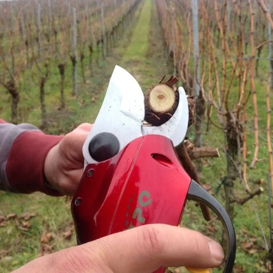 Industry Directly Sell Electric Pruning Shears/Scissors, handle Electric scissors, cutting diameter 0-30mm
Industry Directly Sell Electric Pruning Shears/Scissors, handle Electric scissors, cutting diameter 0-30mm