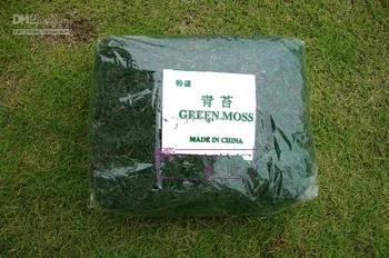 300G/lot Artificial Green moss decorative plants vase artificial turf silk Flower accessories for flowerpot decorations supplies
300G/lot Artificial Green moss decorative plants vase artificial turf silk Flower accessories for flowerpot decorations supplies