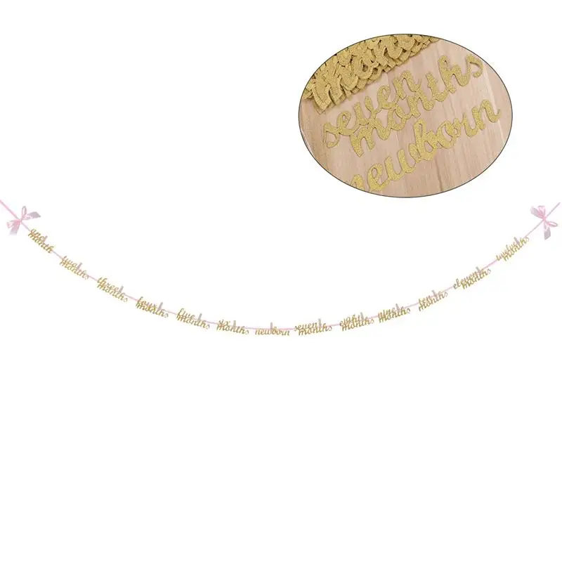 First Birthday 1 Year Old Decorations Monthly Milestone Photo Banner for Newborn to 12 Months Perfect for Baby Shower
First Birthday 1 Year Old Decorations Monthly Milestone Photo Banner for Newborn to 12 Months Perfect for Baby Shower