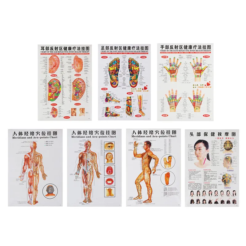7pcs/set Acupuncture Massage Point Map Chinese&English Meridian Acupressure Points Posters Chart Wall Map For Medical Teaching
7pcs/set Acupuncture Massage Point Map Chinese&English Meridian Acupressure Points Posters Chart Wall Map For Medical Teaching