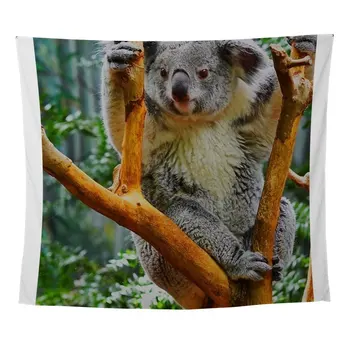Koala In Tree Wall Tapestry
Koala In Tree Wall Tapestry