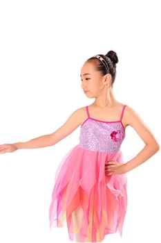 Kids Elsa Dress Children Dance Dress Elegant Drape Female Latin Clothes and Costumes Adult Ballet Dancewear
Kids Elsa Dress Children Dance Dress Elegant Drape Female Latin Clothes and Costumes Adult Ballet Dancewear
