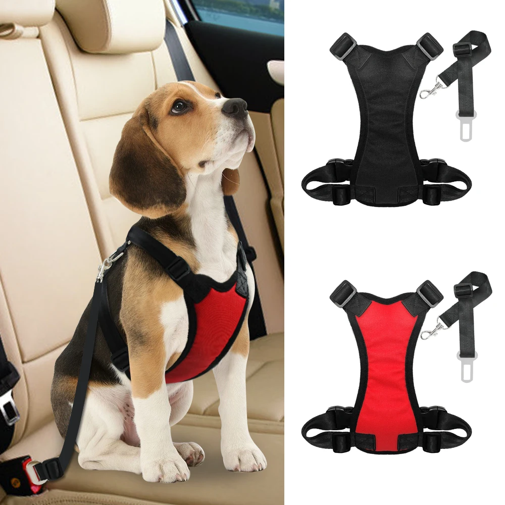 dog seat belt leash