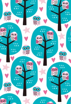 HUAYI Owls On Street photography filming booth Backgrounds Vinyl Portrait Studio Photo Backdrop XT-6556
HUAYI Owls On Street photography filming booth Backgrounds Vinyl Portrait Studio Photo Backdrop XT-6556