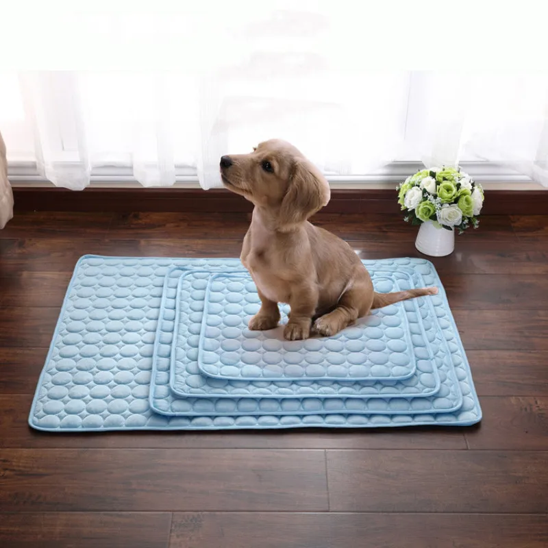 Pet Mat Dog Beds for Small Dogs Summer Comfortable Breathable Pet Ice Pad Non-Toxic Blanket Pet Supplies
Pet Mat Dog Beds for Small Dogs Summer Comfortable Breathable Pet Ice Pad Non-Toxic Blanket Pet Supplies