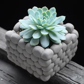 Desktop Mini Flowerpots Light Grey Floor Medium Generic Stone Little Flower Green Plant Pots Creative Wholesale Price Square
Desktop Mini Flowerpots Light Grey Floor Medium Generic Stone Little Flower Green Plant Pots Creative Wholesale Price Square