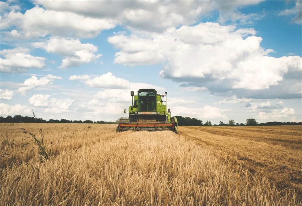 Farm Filed Wheat Cutting Machine Harvest Season Cloudy Scenic Photography Backdrops Photo Backgrounds Photocall Photo Studio
Farm Filed Wheat Cutting Machine Harvest Season Cloudy Scenic Photography Backdrops Photo Backgrounds Photocall Photo Studio