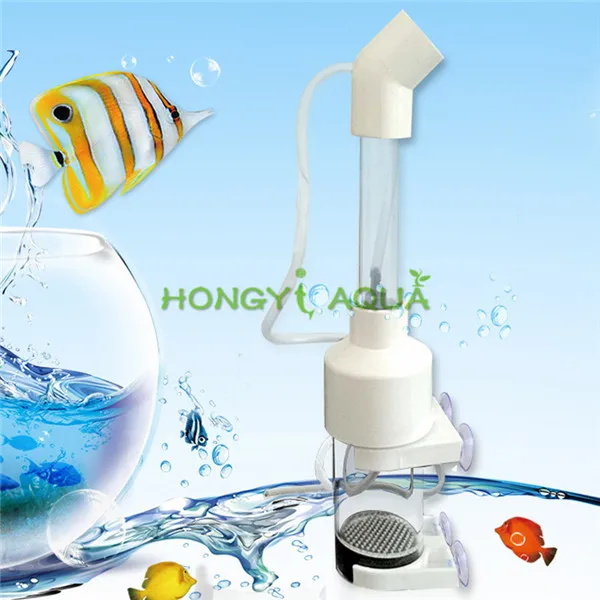 1 piece acrylic incubator aquarium cichlids incubator fish egg hatchery fish tank supplies egg spatula diameter 50MM
1 piece acrylic incubator aquarium cichlids incubator fish egg hatchery fish tank supplies egg spatula diameter 50MM