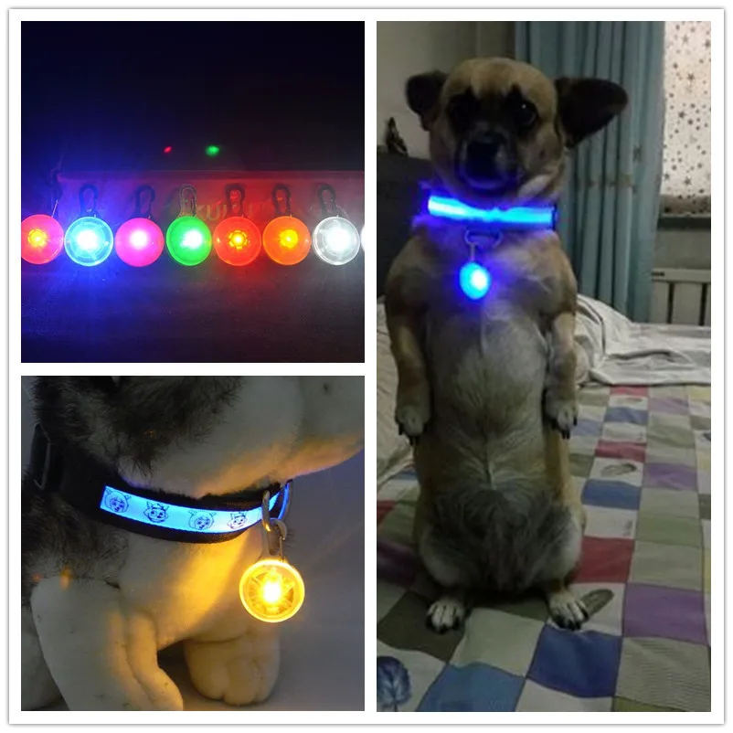A31 Dogs Glowing Collars Pet Dog Pendants Flashing Led Collar Luminous Accessories
A31 Dogs Glowing Collars Pet Dog Pendants Flashing Led Collar Luminous Accessories