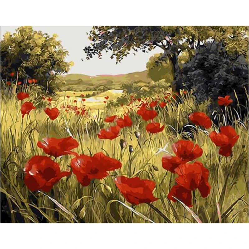 Poppy Flower DIY Oil Painting By Numbers Coloring Pictures Digital Canvas Oil Painting Home Decor Living Room
Poppy Flower DIY Oil Painting By Numbers Coloring Pictures Digital Canvas Oil Painting Home Decor Living Room