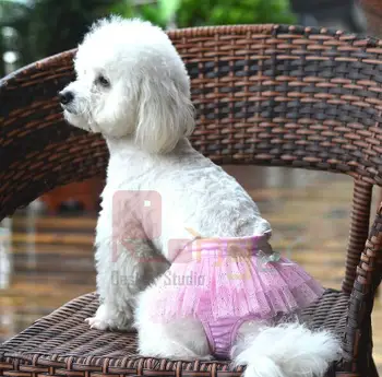 10pcs dogs cats fashion lace Tutu physiological pants doggy menstruation pants puppy health pants pet dog shorts pets costume
10pcs dogs cats fashion lace Tutu physiological pants doggy menstruation pants puppy health pants pet dog shorts pets costume