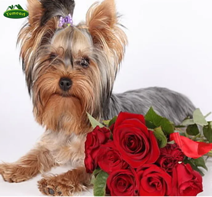 Rhinestones Cross Stitch Yorkshire Terrier Dog Rose New Full 5d Diy Diamond Painting Mosaic Embroidery Household Decoration
Rhinestones Cross Stitch Yorkshire Terrier Dog Rose New Full 5d Diy Diamond Painting Mosaic Embroidery Household Decoration