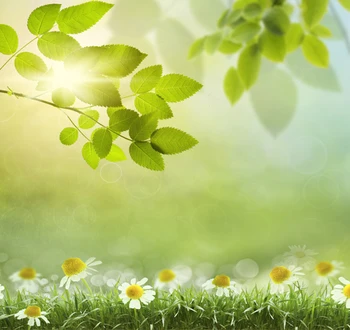 Spring daisy printed photo studio backdrops Art fabric grass background for indoor newborn baby sunshine background D-9867
Spring daisy printed photo studio backdrops Art fabric grass background for indoor newborn baby sunshine background D-9867