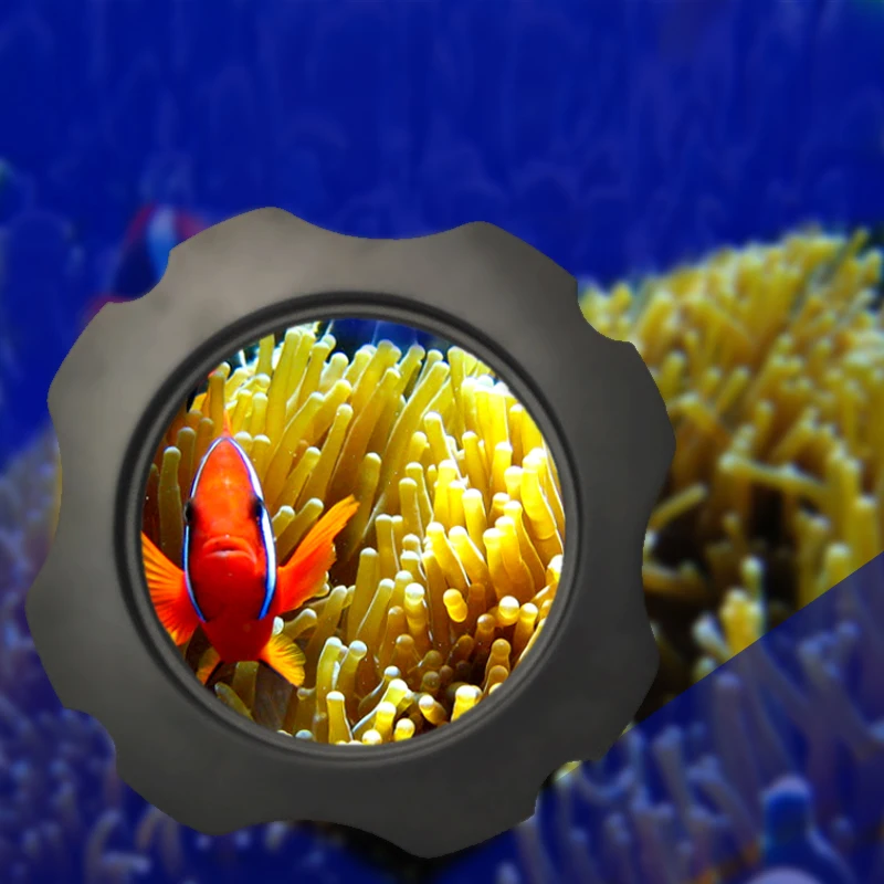 2 and 1 fish cylinder magnifying mirror.Aquarium cylinder rubbing coral aquarium magnifying glass magnifying mirror magnifying
2 and 1 fish cylinder magnifying mirror.Aquarium cylinder rubbing coral aquarium magnifying glass magnifying mirror magnifying