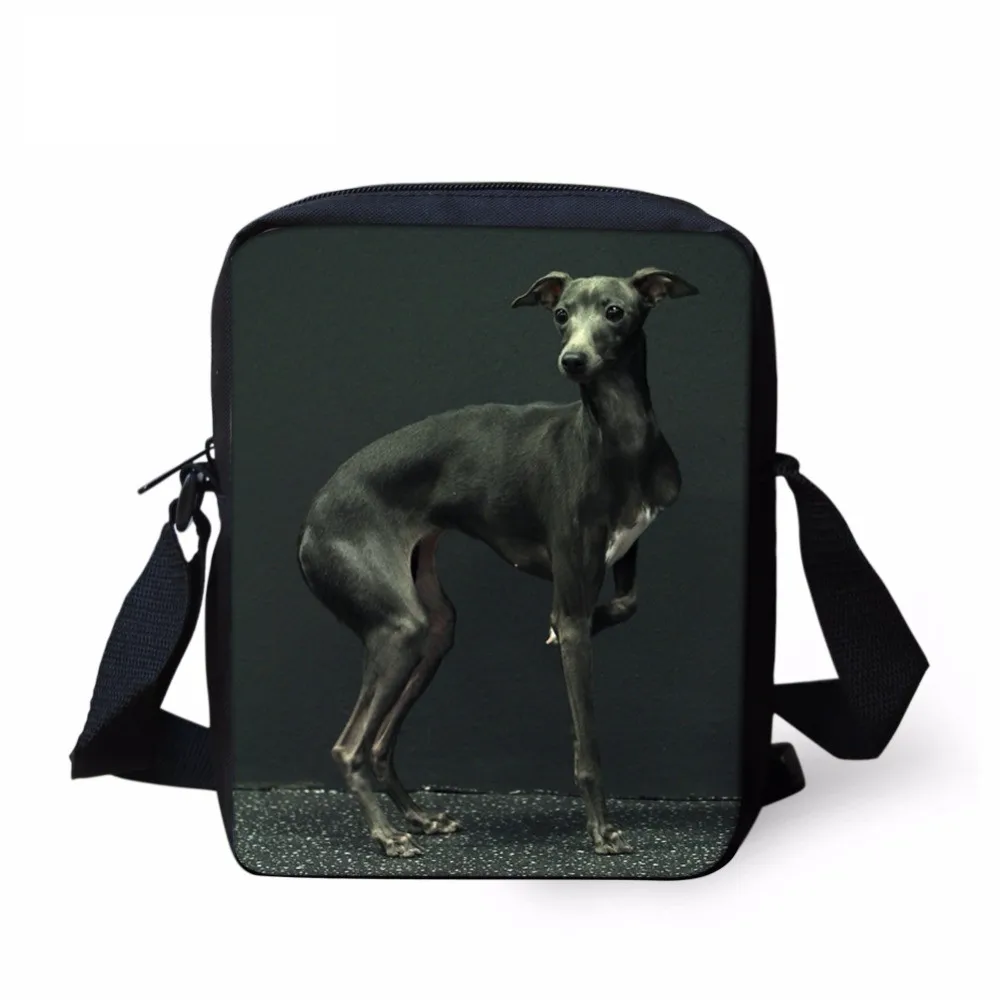 FORUDESIGNS Kawaii Animal Dog Greyhound Print Boys Messenger Bag Casual Book Shoulder Bag for Kindergarten Kids Crossbody Purse
FORUDESIGNS Kawaii Animal Dog Greyhound Print Boys Messenger Bag Casual Book Shoulder Bag for Kindergarten Kids Crossbody Purse