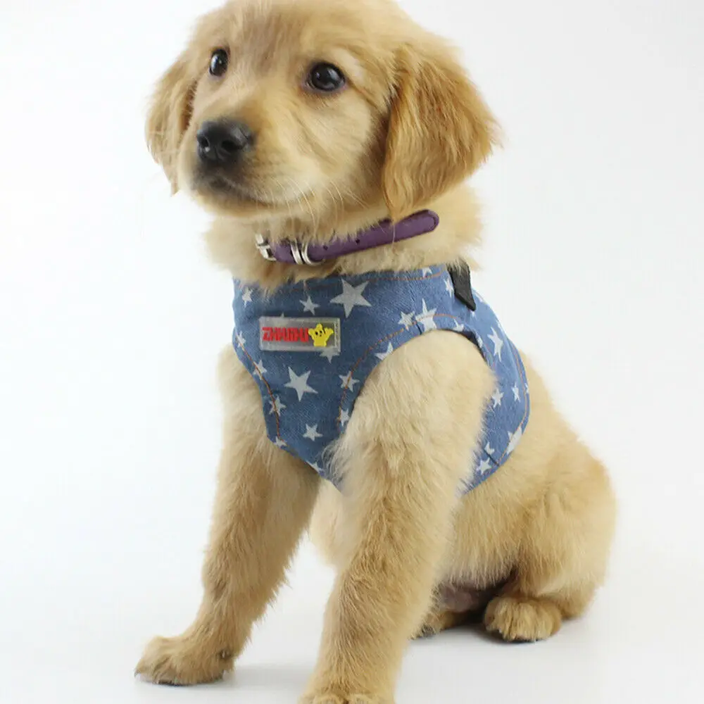 Small Medium Pet Dog Clothes Fashion Costume Denim Vest Puppy Summer Apparel With Dog Leashes Dog Rope Vest Leash Harnesses
Small Medium Pet Dog Clothes Fashion Costume Denim Vest Puppy Summer Apparel With Dog Leashes Dog Rope Vest Leash Harnesses