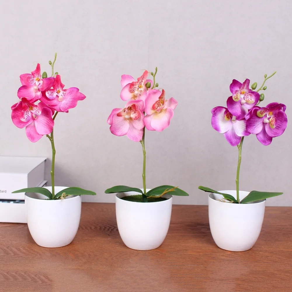 Artificial Flower 1PCS Mini Phalaenopsis Potted For Party Supplies Home Decoration
Artificial Flower 1PCS Mini Phalaenopsis Potted For Party Supplies Home Decoration