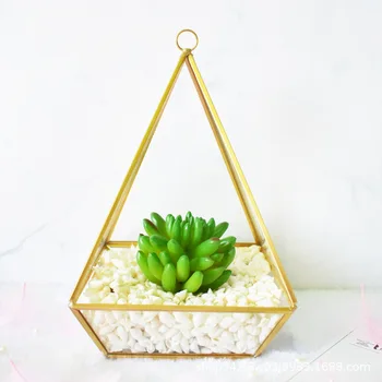 Bonsai Irregular Glass Box Tabletop Succulent Glass Geometric Terrarium Box Planter Flower Pot Moss Ferns Miniature
Bonsai Irregular Glass Box Tabletop Succulent Glass Geometric Terrarium Box Planter Flower Pot Moss Ferns Miniature