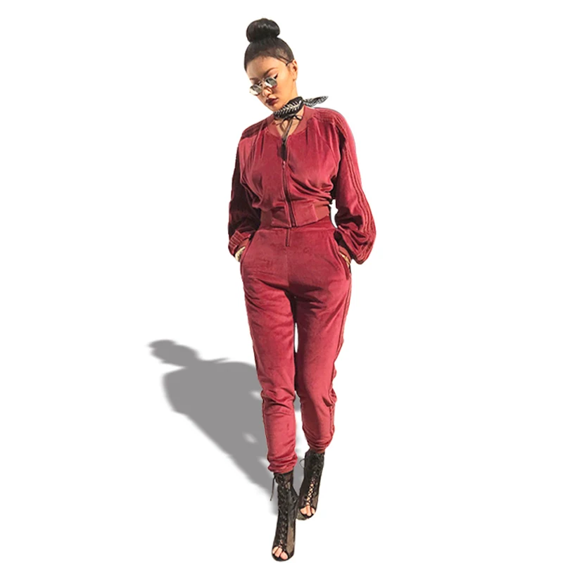Image Good Quality Velvet Tracksuit Two Piece Set Women Sexy Pink Long Sleeve Top And Pants Suit Runway Fashion 2017 Trainingspak