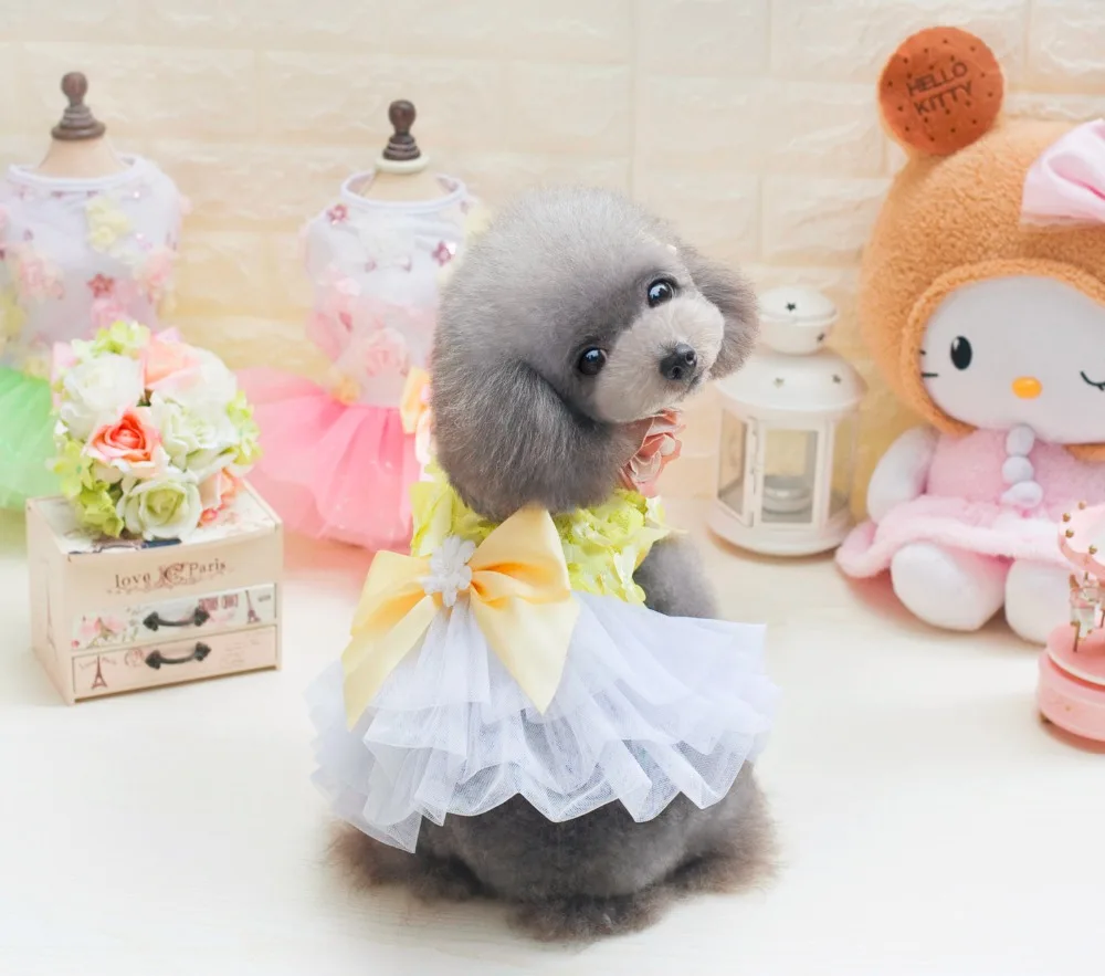 New Coming The Butterflies Style Pet Dogs Summer Dress Small Puppy Dogs Clothing Size From XS To XL
New Coming The Butterflies Style Pet Dogs Summer Dress Small Puppy Dogs Clothing Size From XS To XL