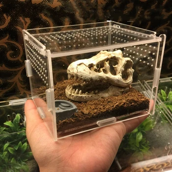 Acrylic Insect Cage with Accessories Spider Lizard Reptile Breeding Box Reptile Terrariums Reptile Home Box Gecko Tortoise House
Acrylic Insect Cage with Accessories Spider Lizard Reptile Breeding Box Reptile Terrariums Reptile Home Box Gecko Tortoise House