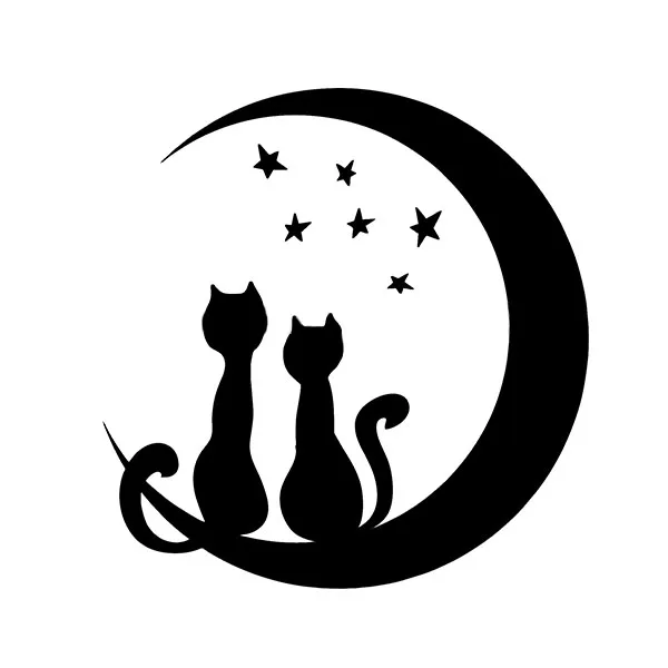 car styling Cats on the Moon car window sticker vinyl decal funny JDM and all the smooth surface case for ford
car styling Cats on the Moon car window sticker vinyl decal funny JDM and all the smooth surface case for ford