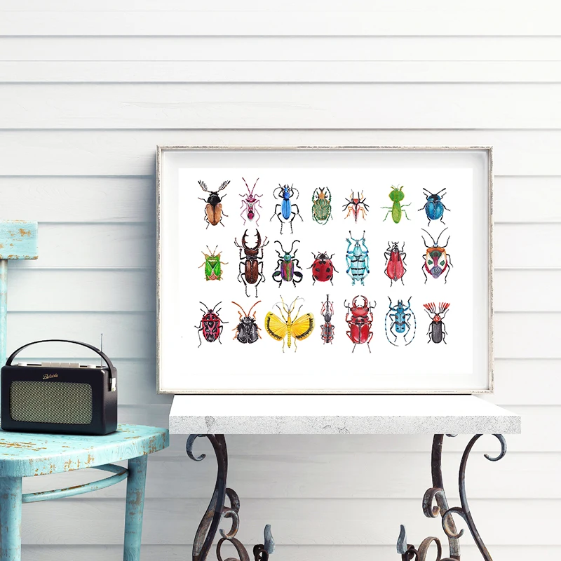 watercolor beetles prints