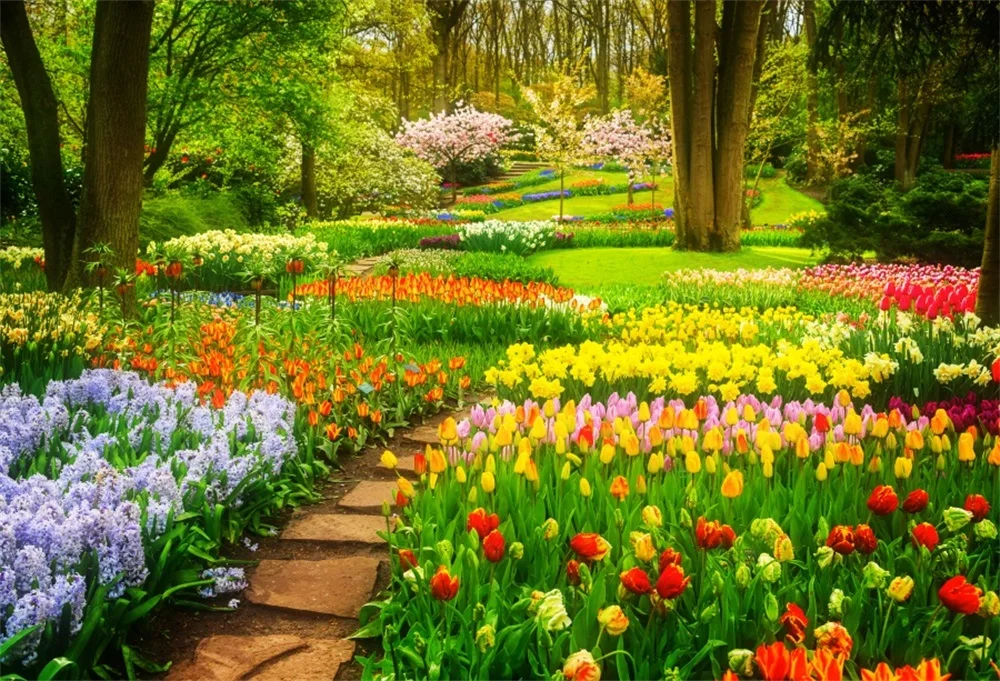 Laeacco Spring Blossom Flower Floret Garden Way Outdoor Scenic Photo Backgrounds Photography Backdrops Photocall Photo Studio
Laeacco Spring Blossom Flower Floret Garden Way Outdoor Scenic Photo Backgrounds Photography Backdrops Photocall Photo Studio
