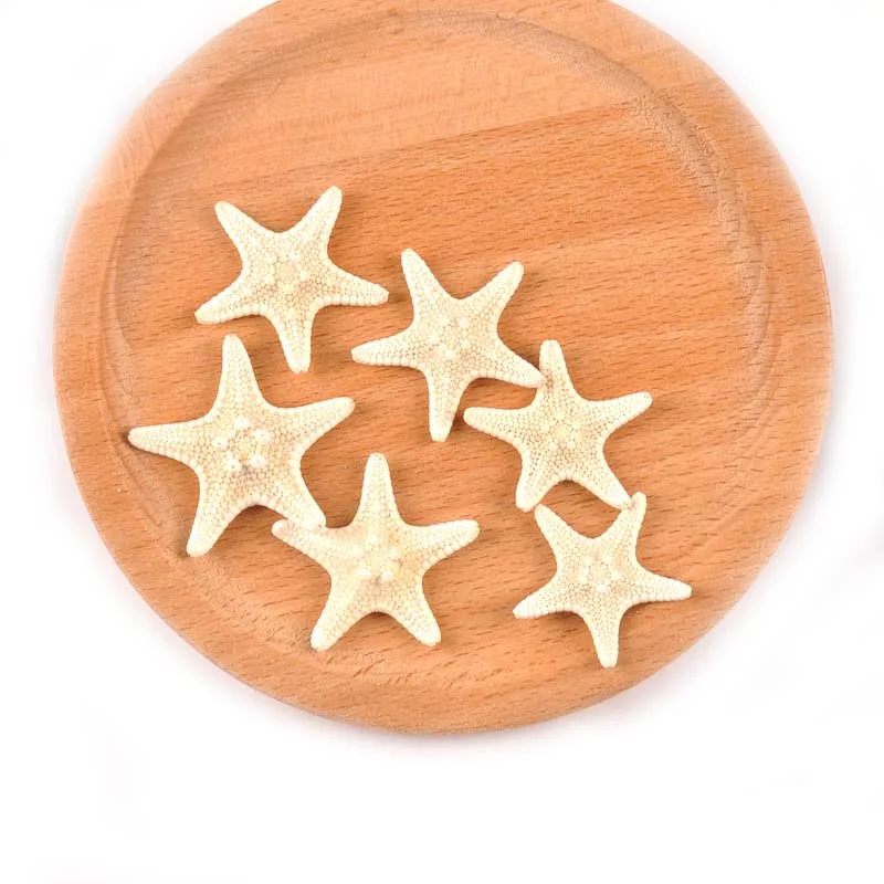 4pcs 2-6cm Natural Beige Starfish Nautical Sea Shells For Wedding Decoration Scrapbooking Seastar Crafts Home Beach Decor C1802
4pcs 2-6cm Natural Beige Starfish Nautical Sea Shells For Wedding Decoration Scrapbooking Seastar Crafts Home Beach Decor C1802