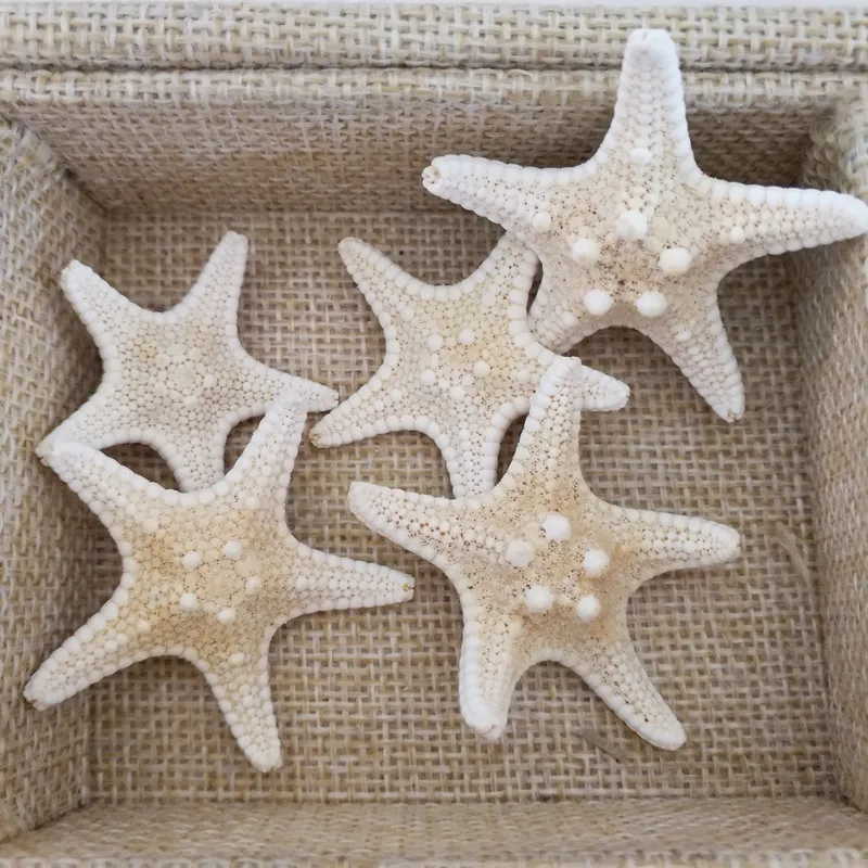 HappyKiss Natural Starfish BEIGE color Scrapbooking Carft for party Home decoration random mixed 5pcs 2-4CM sea star starfish
HappyKiss Natural Starfish BEIGE color Scrapbooking Carft for party Home decoration random mixed 5pcs 2-4CM sea star starfish