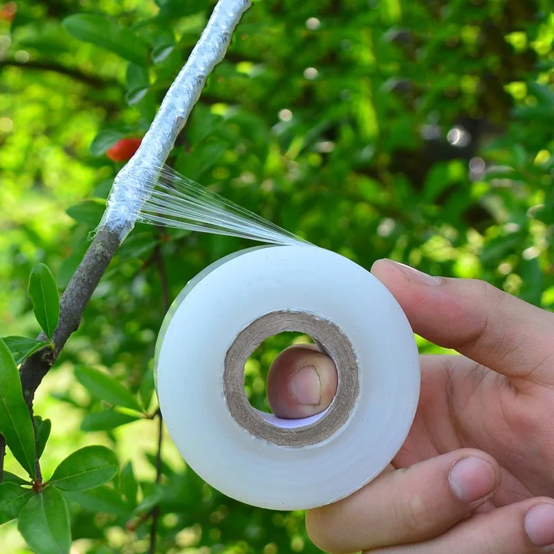 Multi-functional Grafting Film Gardening Tool Accessories for Grafting Machine Transparent Stretchable Grafted Membrane Supplies
Multi-functional Grafting Film Gardening Tool Accessories for Grafting Machine Transparent Stretchable Grafted Membrane Supplies
