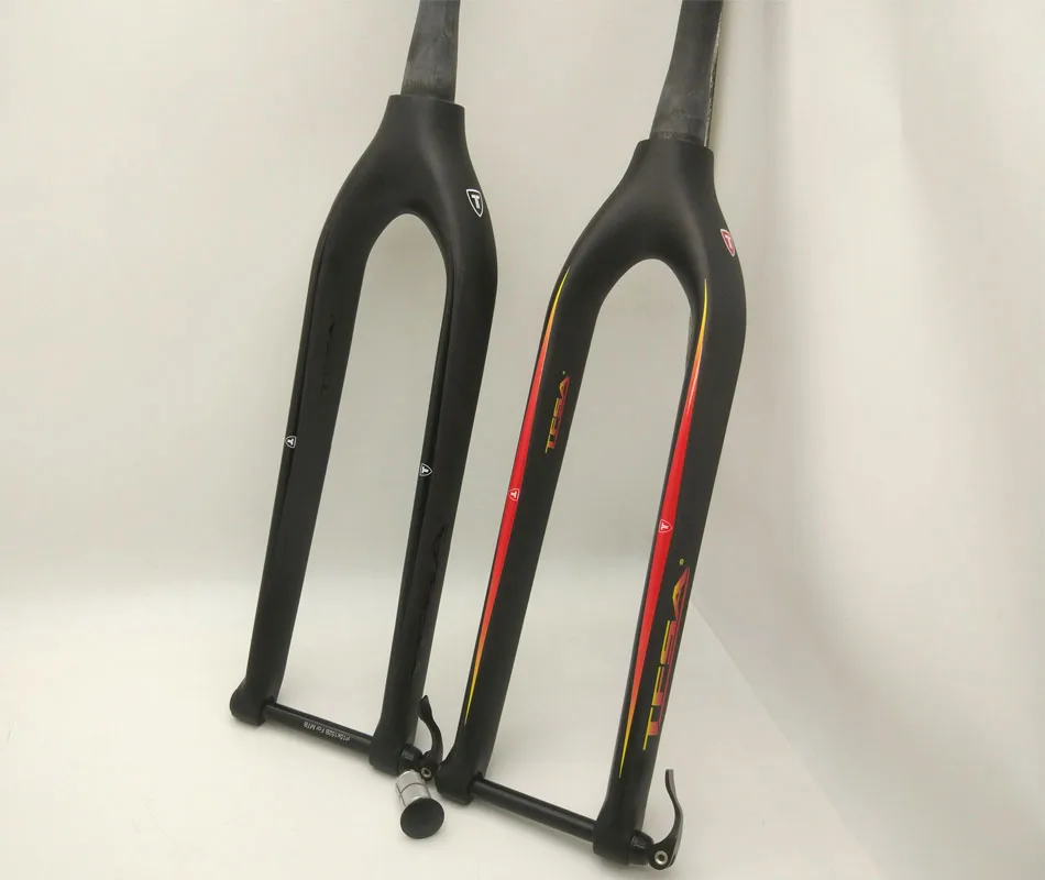 FSA2