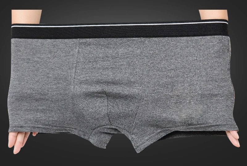 boxer (10)