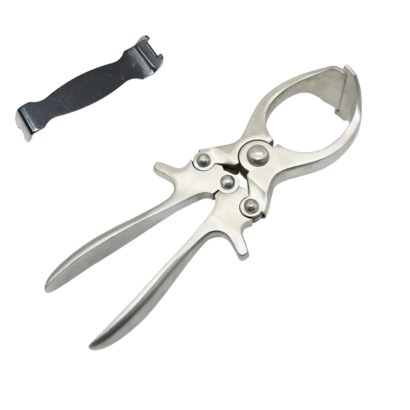 1 pcs High Quality Pig castration forceps Animal Cutting Tool Pliers Sheep With Castration Pliers Animal Castration Pliers
1 pcs High Quality Pig castration forceps Animal Cutting Tool Pliers Sheep With Castration Pliers Animal Castration Pliers