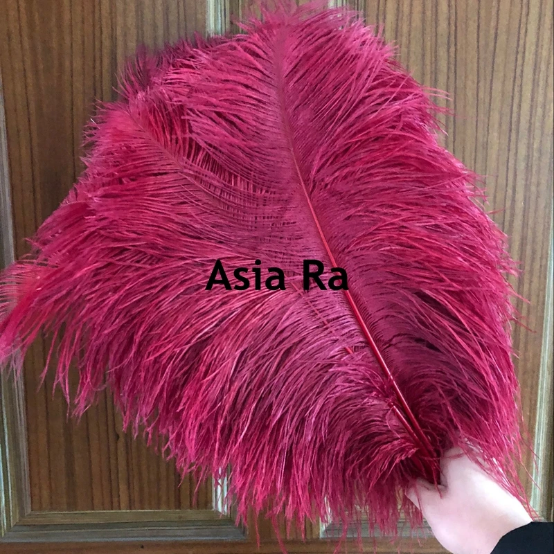Wine red /Burgundy Natural ostrich feathers Length 25-30cm feathers ribbon for DIY wedding party dresss decoration crafts
Wine red /Burgundy Natural ostrich feathers Length 25-30cm feathers ribbon for DIY wedding party dresss decoration crafts