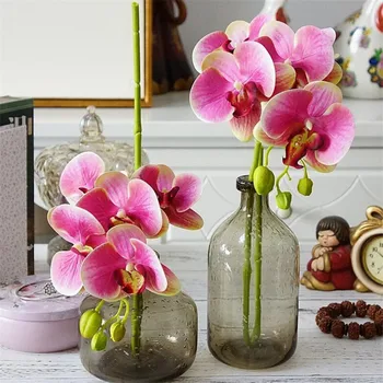 10pcs Latex Moth Orchids Phalaenopsis Orchid Real Touch five heads Mini Orchid Flower Quality Decorative Artificial Flowers
10pcs Latex Moth Orchids Phalaenopsis Orchid Real Touch five heads Mini Orchid Flower Quality Decorative Artificial Flowers
