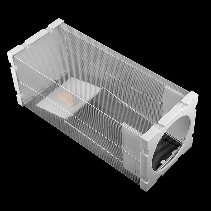 Mice Trap Rat Trap Mouse Trapper Glue Board Sticky Mouse Reject Mice Control Pest Trapper Glue Board Mice Catcher Trap Non-Toxic
Mice Trap Rat Trap Mouse Trapper Glue Board Sticky Mouse Reject Mice Control Pest Trapper Glue Board Mice Catcher Trap Non-Toxic