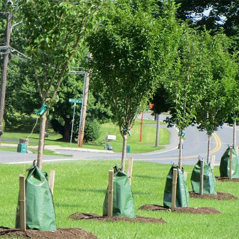 20 Gallon Tree Watering Bag Slow Release Planting Watering Automatic Drip System PVC Pouch SLC88
20 Gallon Tree Watering Bag Slow Release Planting Watering Automatic Drip System PVC Pouch SLC88
