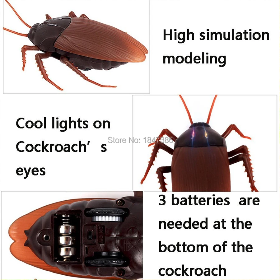 005