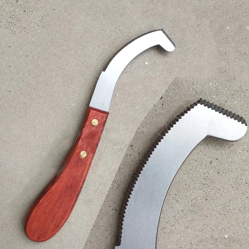 Stainless Steel Blade Edge Cattle and Horse Hoof Knife Shears Cutter Multipurpose Hoof knife Wooden Handle
Stainless Steel Blade Edge Cattle and Horse Hoof Knife Shears Cutter Multipurpose Hoof knife Wooden Handle
