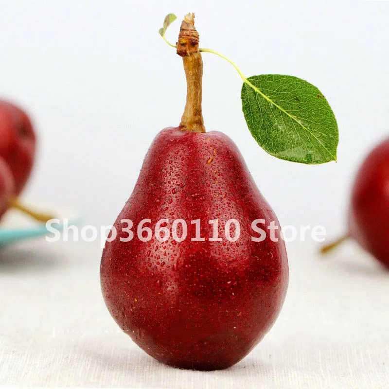 30 pcs Pear Bonsai Piante (Pyrus Communis) Rare Organic Fruit Tree Bonsai In Bonsai Super Sweet Fruit Bonsai For Garden Plants
30 pcs Pear Bonsai Piante (Pyrus Communis) Rare Organic Fruit Tree Bonsai In Bonsai Super Sweet Fruit Bonsai For Garden Plants