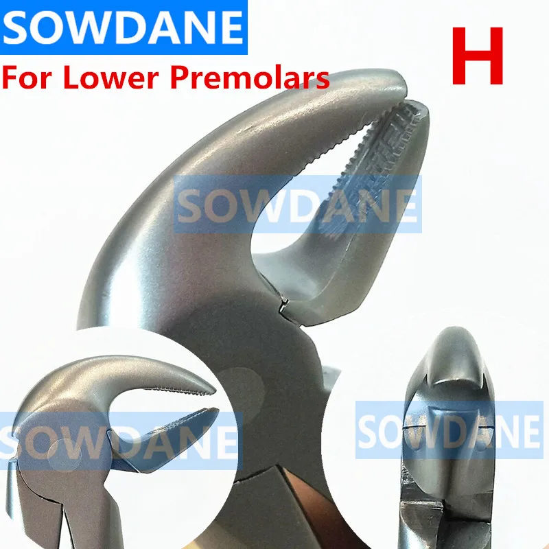 1 pcs High Quality Stainless Steel Dental Adult Tooth Extraction Plier For Lower PreMolar Dental Orthodontic Surgery Forcep Tool
1 pcs High Quality Stainless Steel Dental Adult Tooth Extraction Plier For Lower PreMolar Dental Orthodontic Surgery Forcep Tool
