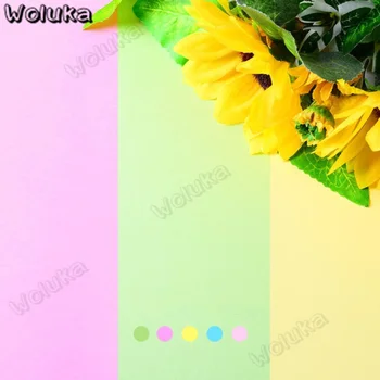 Monochrome background paper solid color color cardboard ins photo posing props shooting background photo backdrop paper CD50 T08
Monochrome background paper solid color color cardboard ins photo posing props shooting background photo backdrop paper CD50 T08