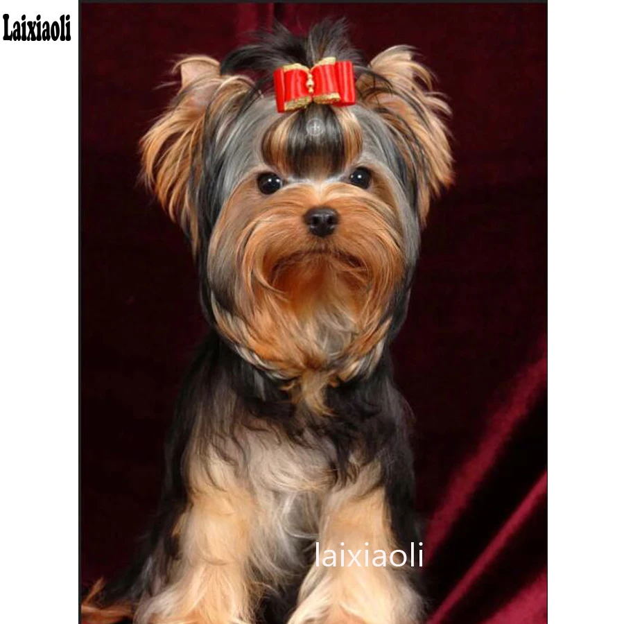 5D cross stitch Diamond Embroidery Diy Diamond Painting Yorkshire Terrier Cross Stitch Full Square round drill mosaic Needlework
5D cross stitch Diamond Embroidery Diy Diamond Painting Yorkshire Terrier Cross Stitch Full Square round drill mosaic Needlework